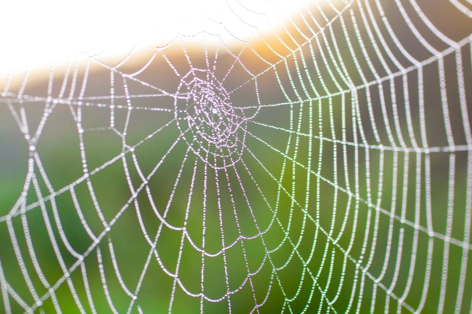 iStock 963439008 resized