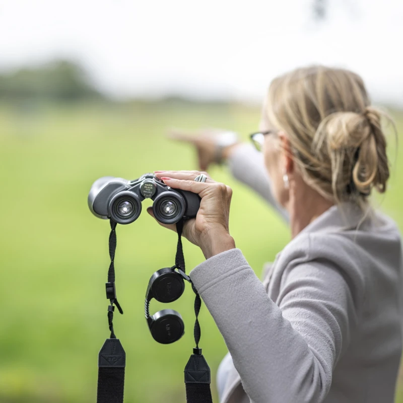0589 Situatie 13 Kijker gespiegeld